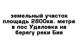 земельный участок площадь 2800кв. метра в пос Удаловка на берегу реки Бия